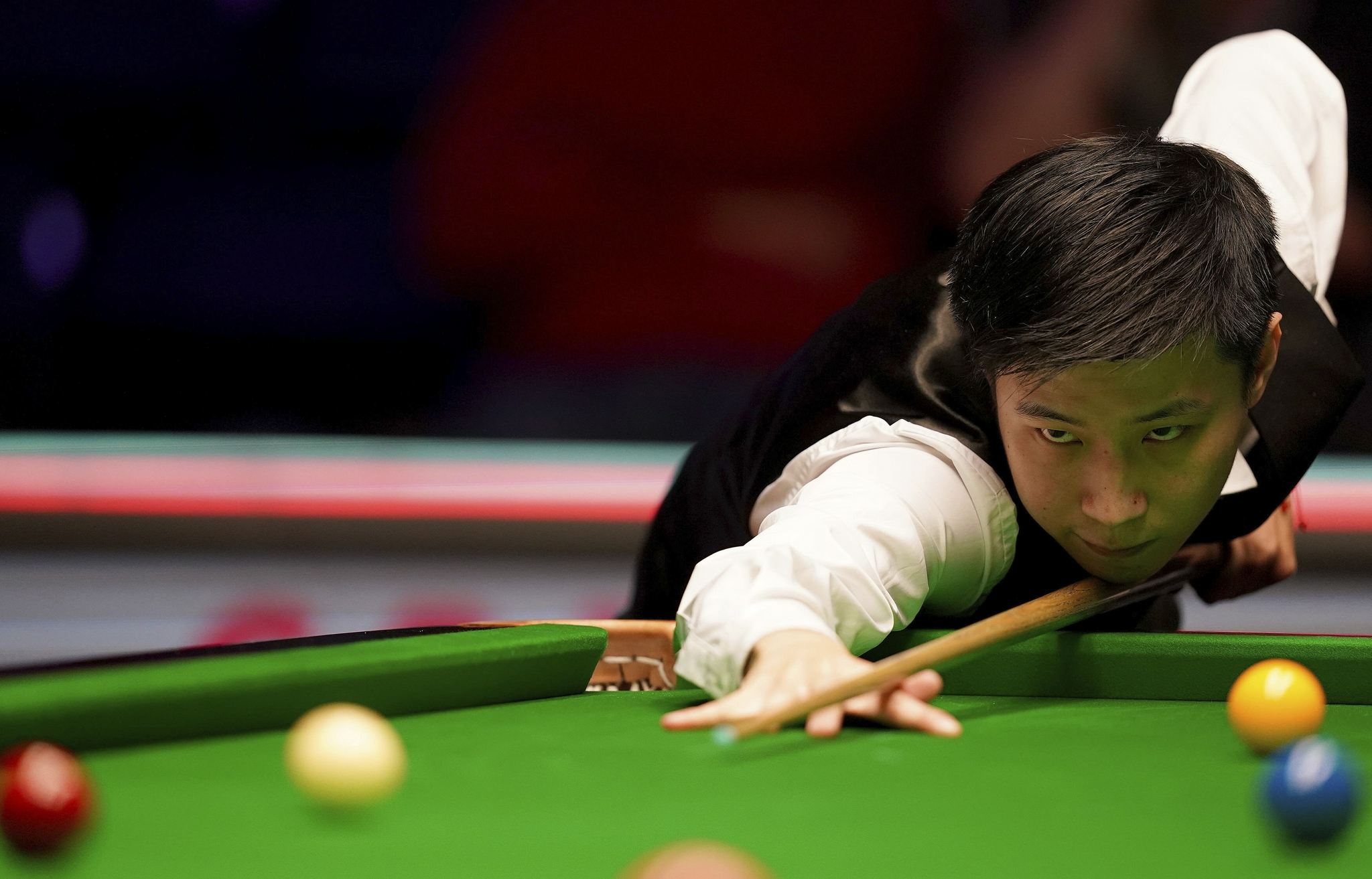 入了新能量 入了新能量