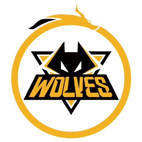 的全面提升 的全面提升